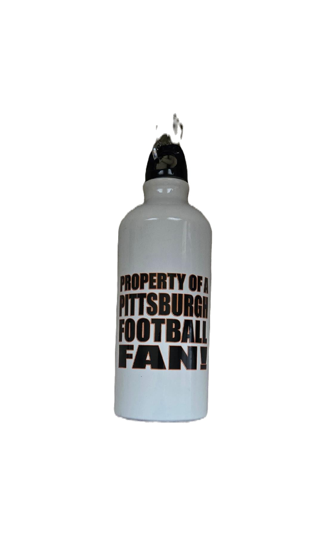 Property Of A Pittsburgh Football Fan Aluminum Bottle image 0